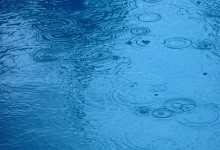 Raindrop ripples on a pond